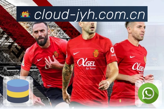 <strong>九游会</strong>客服与支持体系